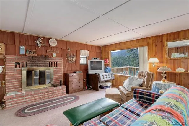 307 Virginia Road Bailey, CO 80421