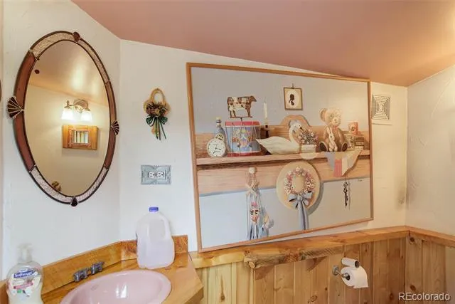 307 Virginia Road Bailey, CO 80421
