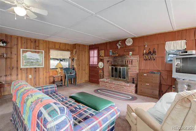307 Virginia Road Bailey, CO 80421