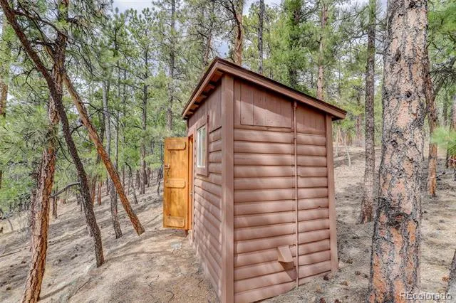 307 Virginia Road Bailey, CO 80421