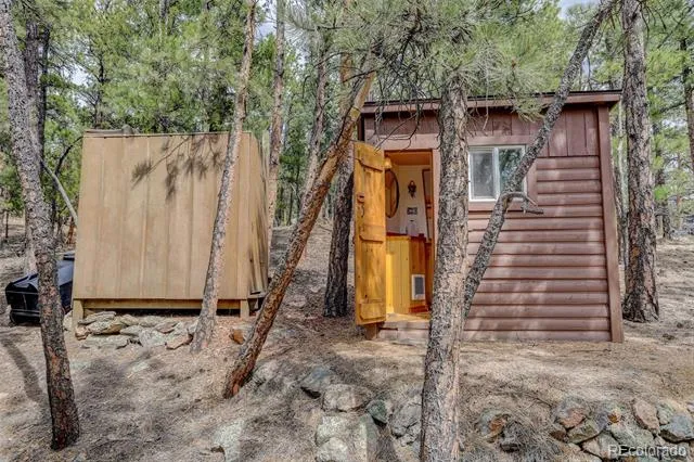 307 Virginia Road Bailey, CO 80421