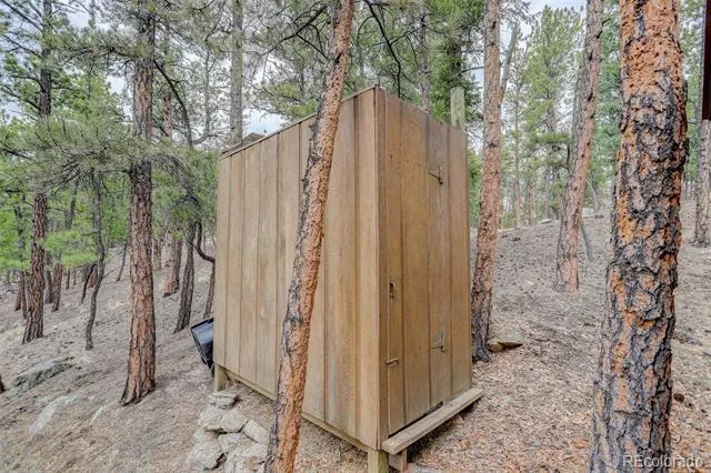 307 Virginia Road Bailey, CO 80421
