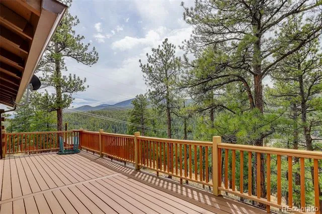 307 Virginia Road Bailey, CO 80421