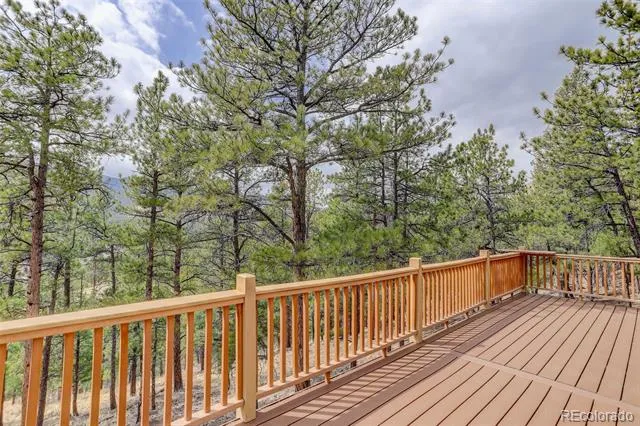 307 Virginia Road Bailey, CO 80421