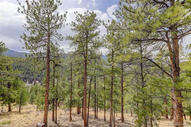 307 Virginia Road Bailey, CO 80421