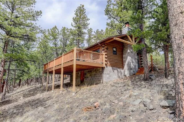 307 Virginia Road Bailey, CO 80421