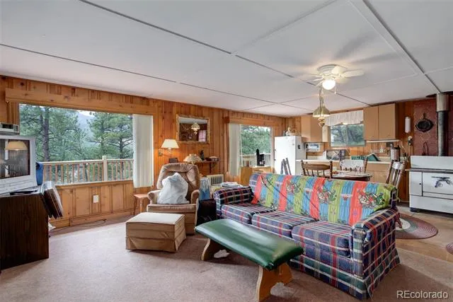 307 Virginia Road Bailey, CO 80421