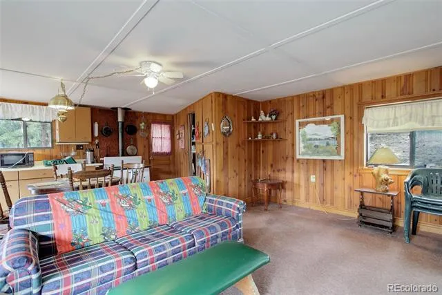 307 Virginia Road Bailey, CO 80421