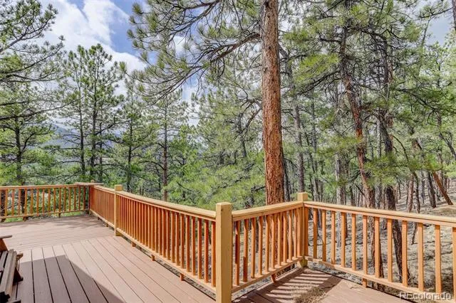 307 Virginia Road Bailey, CO 80421