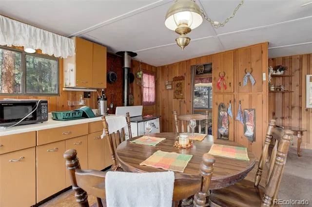 307 Virginia Road Bailey, CO 80421