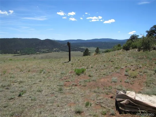26 Boxcar Loop Hartsel, CO 80449