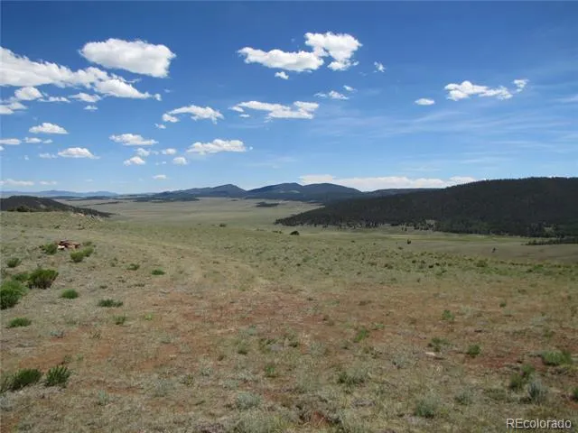 26 Boxcar Loop Hartsel, CO 80449