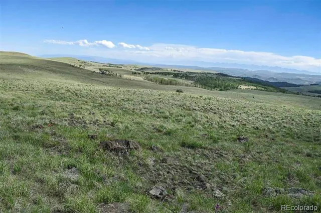 00 Bear Cat Road Guffey, CO 80820