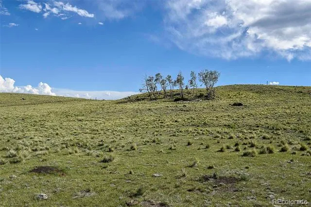 00 Bear Cat Road Guffey, CO 80820