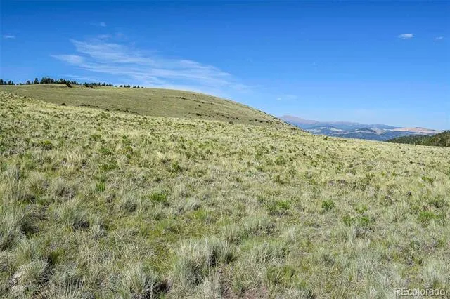 00 Bear Cat Road Guffey, CO 80820