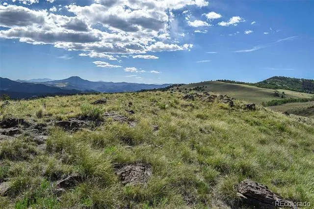 00 Bear Cat Road Guffey, CO 80820