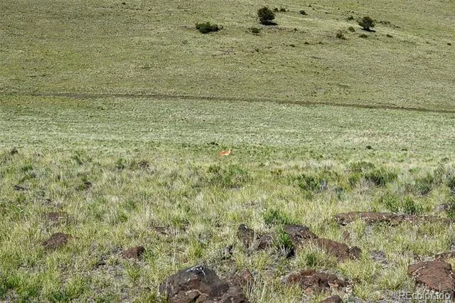 00 Bear Cat Road Guffey, CO 80820