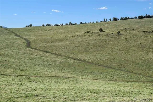 00 Bear Cat Road Guffey, CO 80820