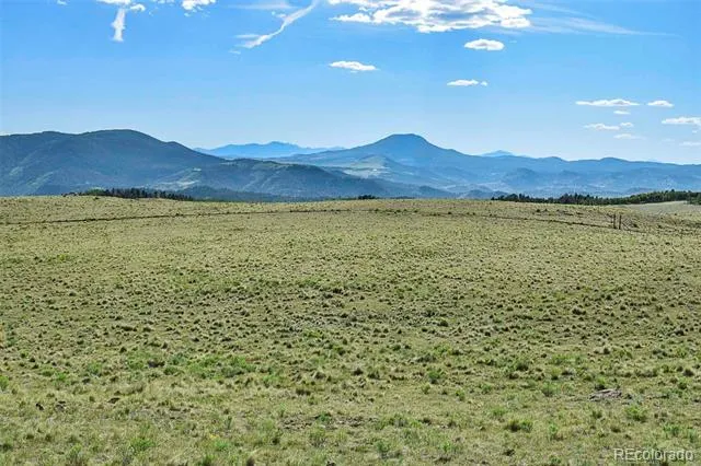 00 Bear Cat Road Guffey, CO 80820