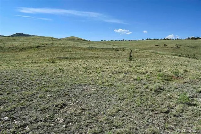 00 Bear Cat Road Guffey, CO 80820