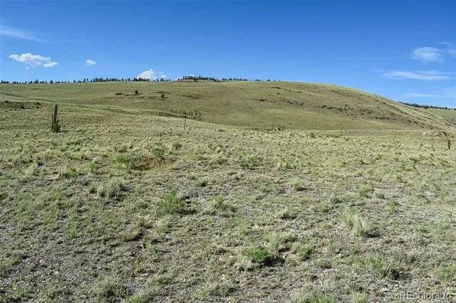 00 Bear Cat Road Guffey, CO 80820