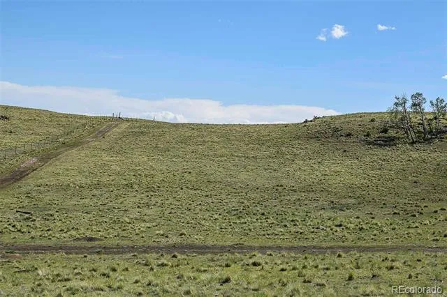 00 Bear Cat Road Guffey, CO 80820