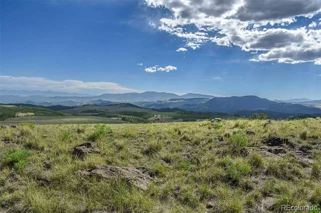 00 Bear Cat Road Guffey, CO 80820
