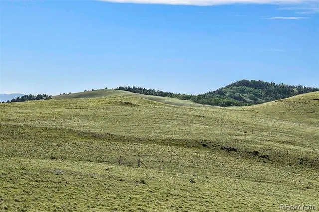 00 Bear Cat Road Guffey, CO 80820