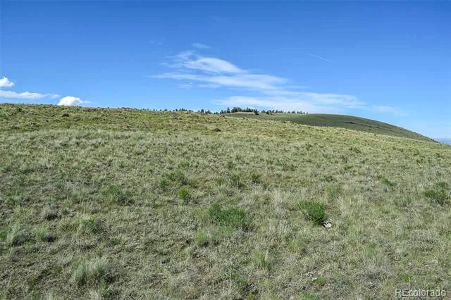 00 Bear Cat Road Guffey, CO 80820