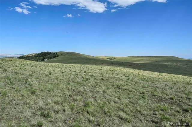 00 Bear Cat Road Guffey, CO 80820