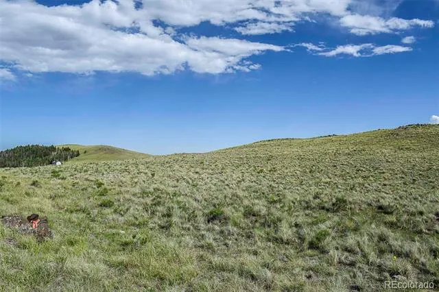 00 Bear Cat Road Guffey, CO 80820