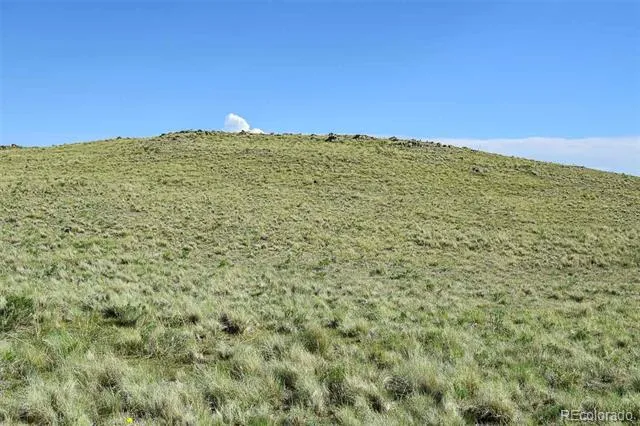 00 Bear Cat Road Guffey, CO 80820