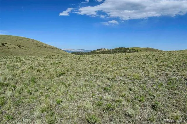 00 Bear Cat Road Guffey, CO 80820