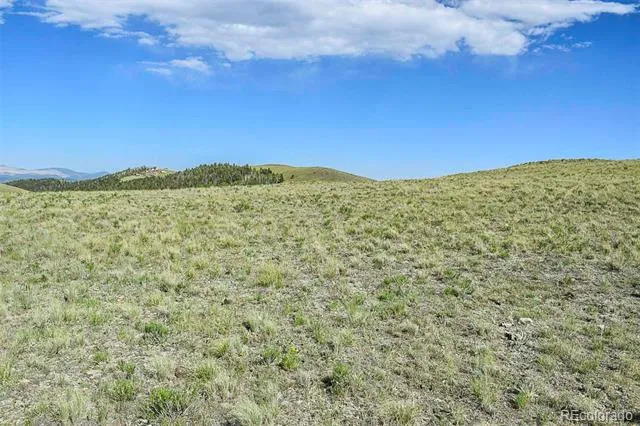 00 Bear Cat Road Guffey, CO 80820