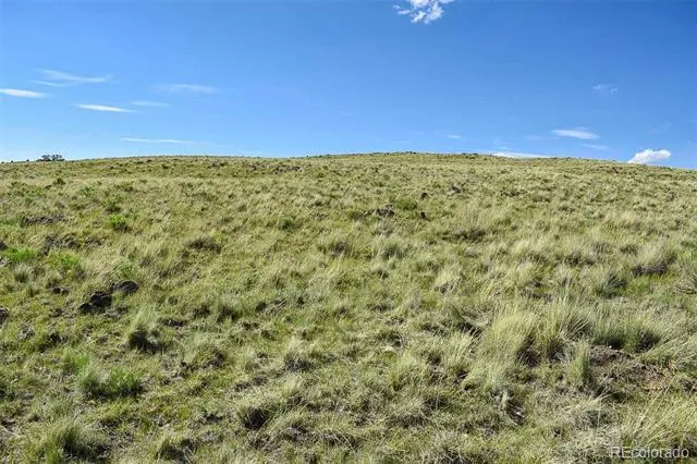 00 Bear Cat Road Guffey, CO 80820