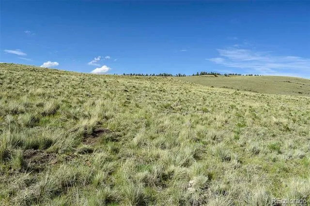 00 Bear Cat Road Guffey, CO 80820