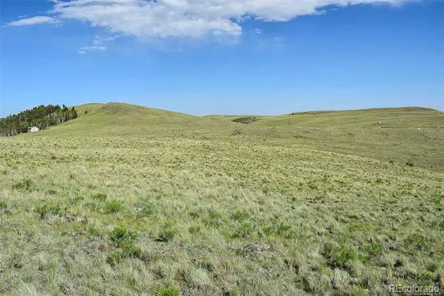 00 Bear Cat Road Guffey, CO 80820