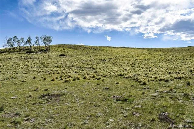 00 Bear Cat Road Guffey, CO 80820
