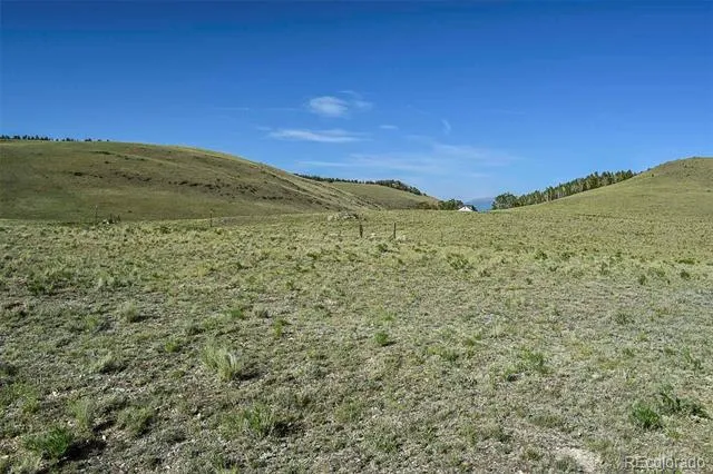00 Bear Cat Road Guffey, CO 80820