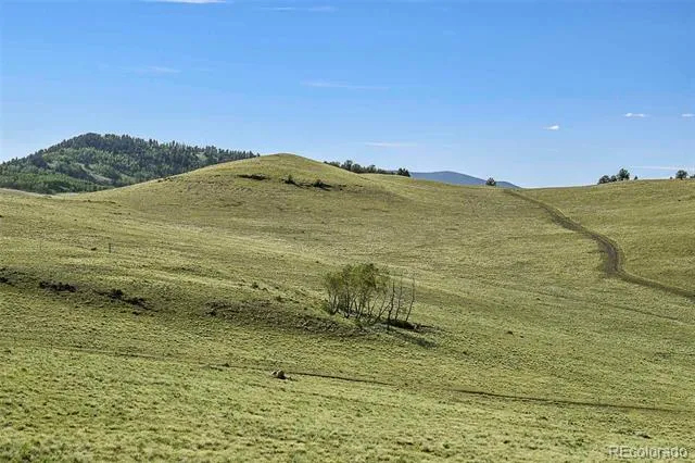 00 Bear Cat Road Guffey, CO 80820