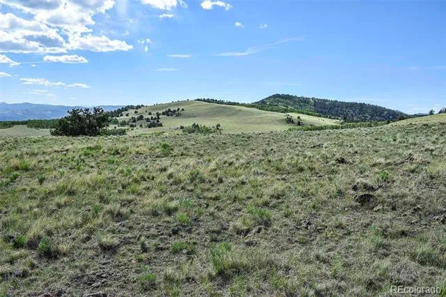 00 Bear Cat Road Guffey, CO 80820