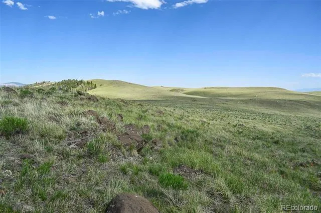 00 Bear Cat Road Guffey, CO 80820