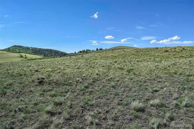 00 Bear Cat Road Guffey, CO 80820