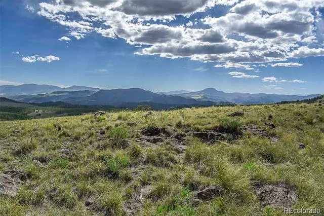 00 Bear Cat Road Guffey, CO 80820