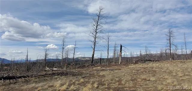 Lot 1227 Granville Loop Fort Garland, CO 81133