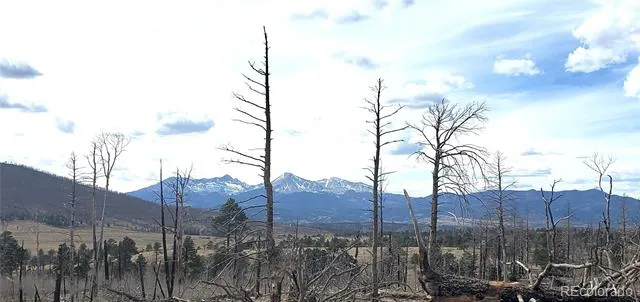 Lot 1227 Granville Loop Fort Garland, CO 81133