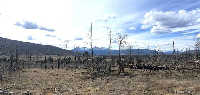 Lot 1227 Granville Loop Fort Garland, CO 81133