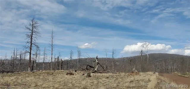 Lot 1227 Granville Loop Fort Garland, CO 81133