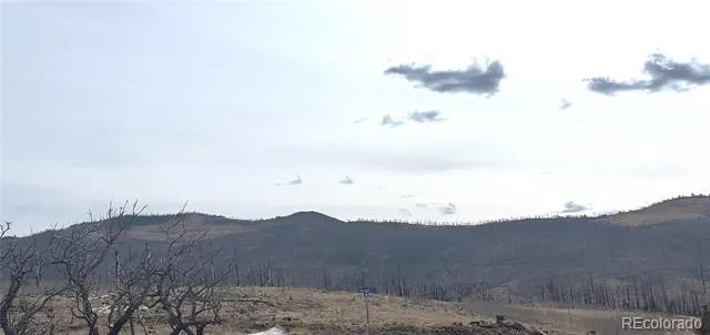 Lot 1227 Granville Loop Fort Garland, CO 81133