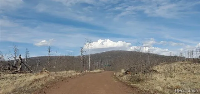 Lot 1227 Granville Loop Fort Garland, CO 81133